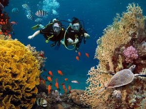 Indonesia Named the World’s Best Diving Destination
