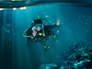 Diving Sensation in the Natuna Deep Sea Cave