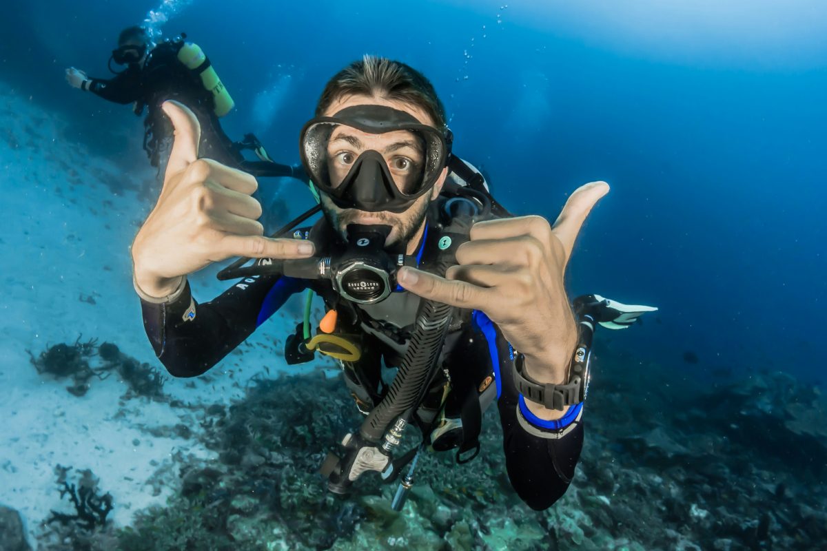 Belajar Diving